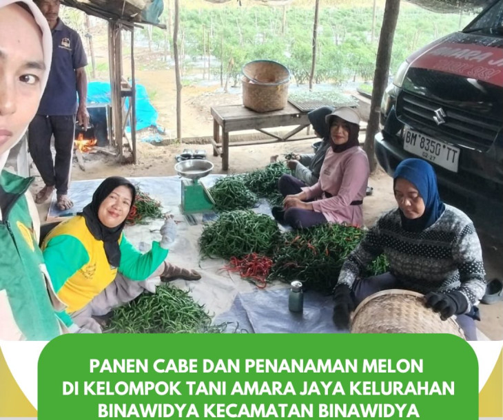 Panen & Tanam, Sekali Jalan Dua Hasil