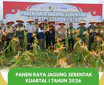 Zoom Panen Raya & Pengumuman Swasembada Pangan Nasional 2025