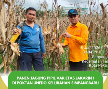 Penyuluh Perikanan Hadiri Pertemuan Bulanan POKLAHSAR Pargo