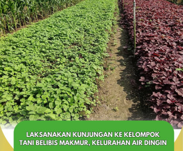 Rapat rutin Poklahsar Kulim Sejahtera