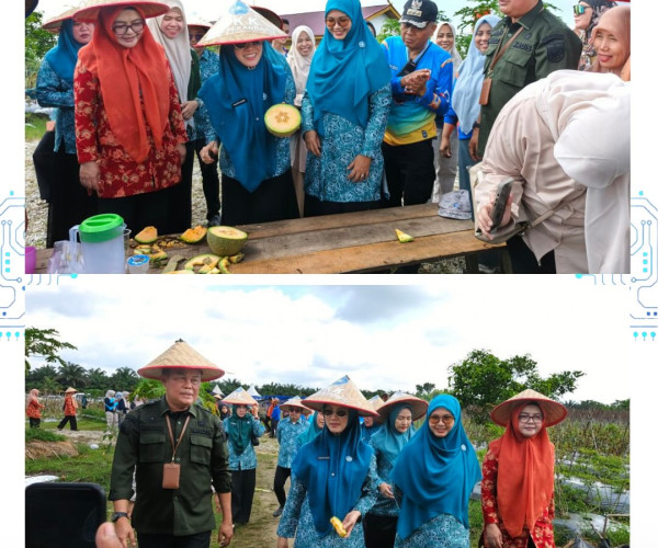 Panen Melon & Gerakan Menanam Bersama