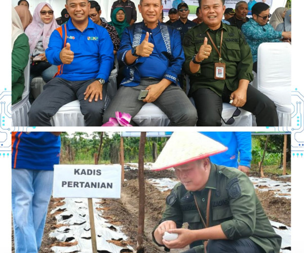 Panen Melon & Gerakan Menanam Bersama