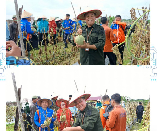 Panen Melon & Gerakan Menanam Bersama