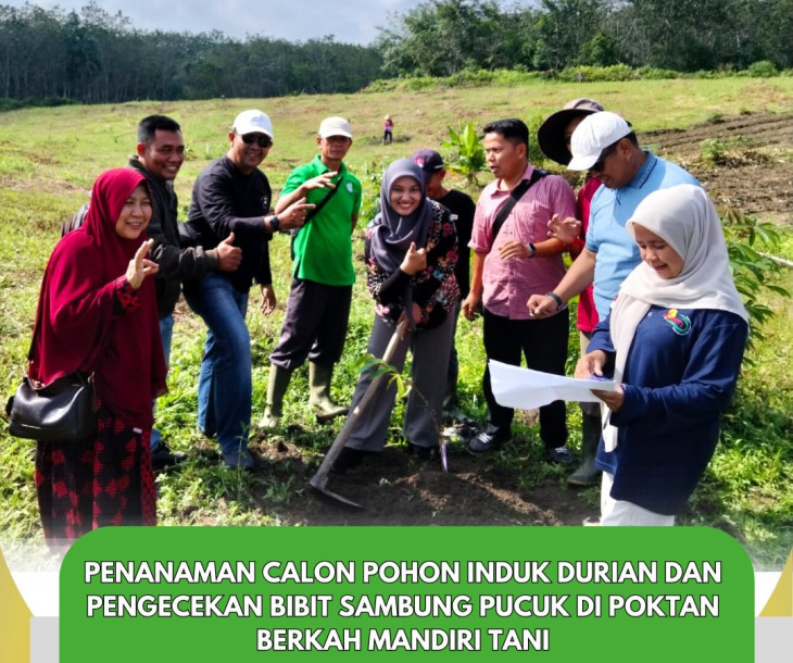 Penguatan Budidaya Durian Unggul