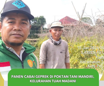 Penguatan Budidaya Durian Unggul