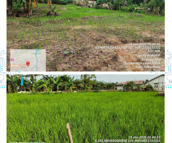 Monitoring Padi Gogo