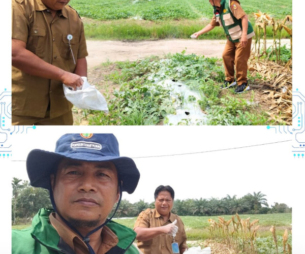Monitoring Tanaman Semangka Terserang Penyakit