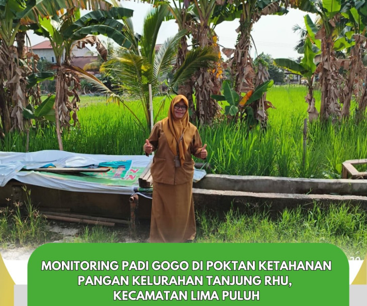 Monitoring Padi Gogo