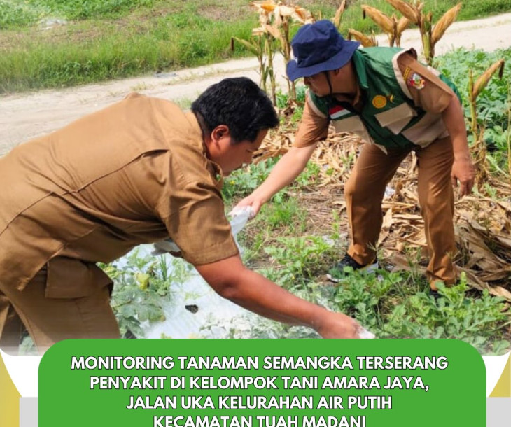 Monitoring Tanaman Semangka Terserang Penyakit