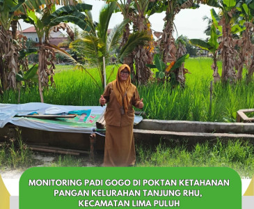 Monitoring Harga Hasil Peternakan di Pasar Ramayanan