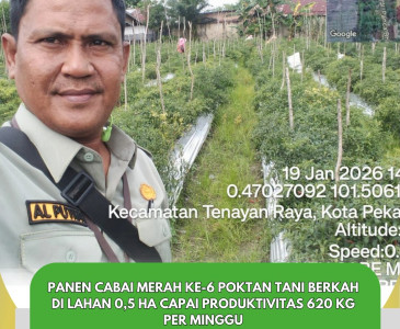 Monitoring Tanaman Semangka Terserang Penyakit