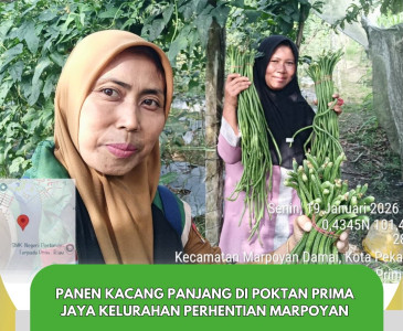 Musyawarah Penyusunan AD/ART & Penandatanganan Berita Acara Pembentukan Pokdakan Selendang Delima