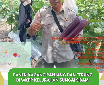 Dampak Bendungan BBI Picu Banjir di Pokdakan Bina Kuaran Jaya