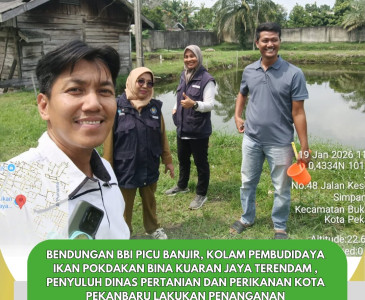 Monitoring Bantuan AMAN BERTANI Hortikultura