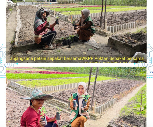 Monitoring Bantuan AMAN BERTANI Hortikultura