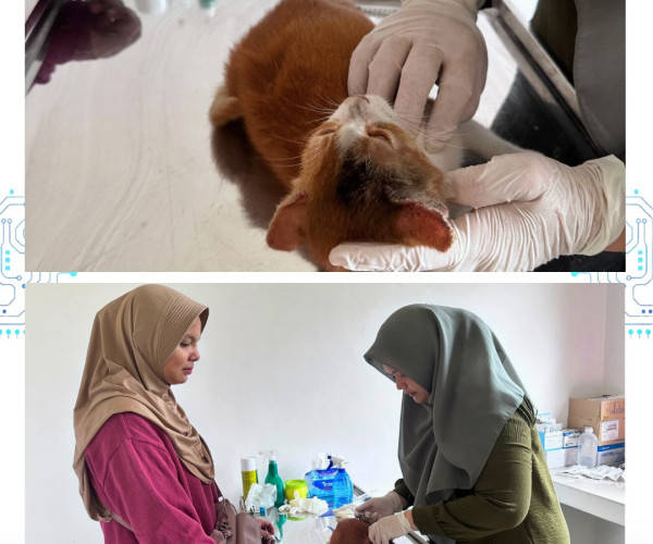 Monitoring / Supervisi Puskeswan Tenayan Raya