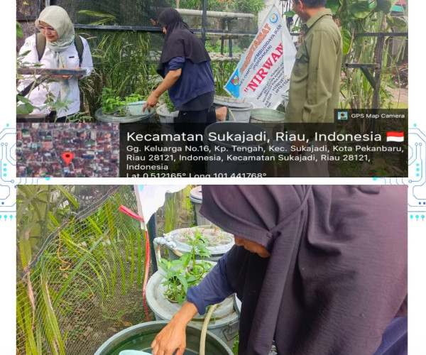 Monitoring Kegiatan Budikdamber