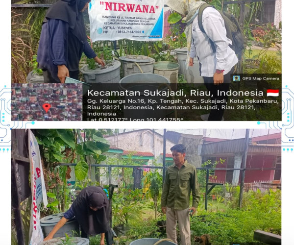 Monitoring Kegiatan Budikdamber