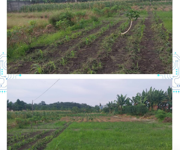 Monitoring Lahan Anggota Poktan Sukamakmur