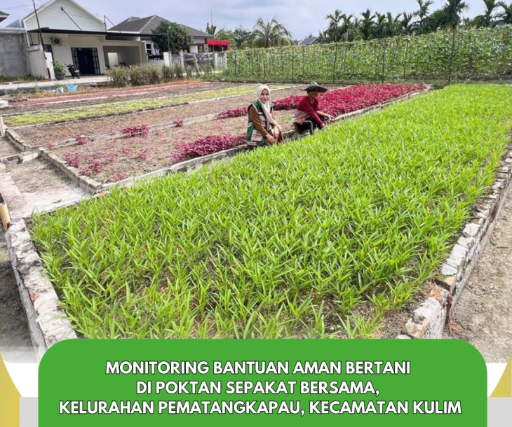 Monitoring Bantuan AMAN BERTANI Hortikultura