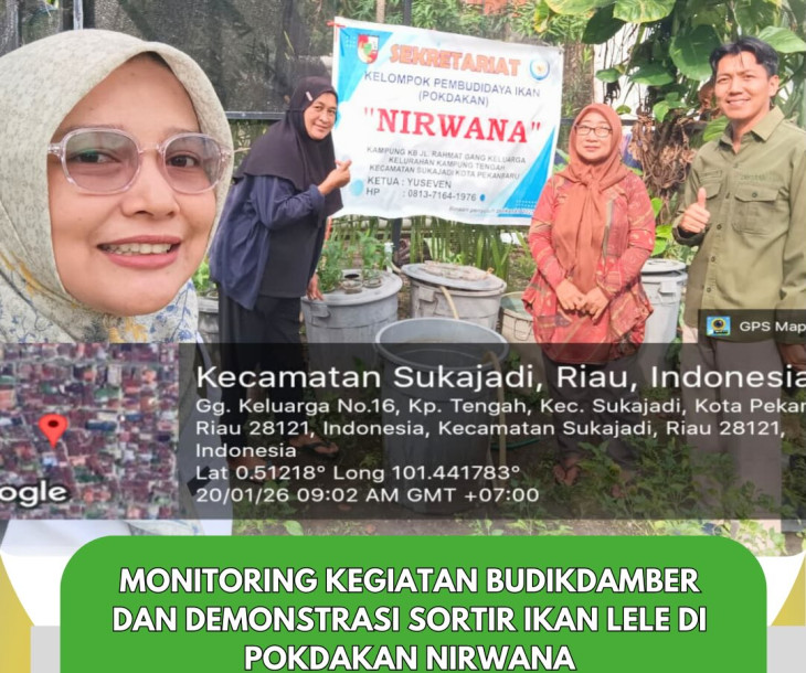 Monitoring Kegiatan Budikdamber dan Demcara Sortir Ikan Lele Budikdamber di Pokdakan Nirwana