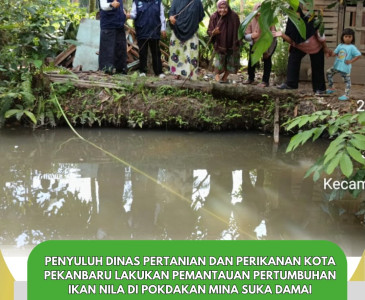 Kunjungan dan Pendampingan Pengajuan Proposal Chest Freezer Poklahsar Harmoni