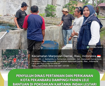 Kunjungan dan Pendampingan Pengajuan Proposal Chest Freezer Poklahsar Harmoni