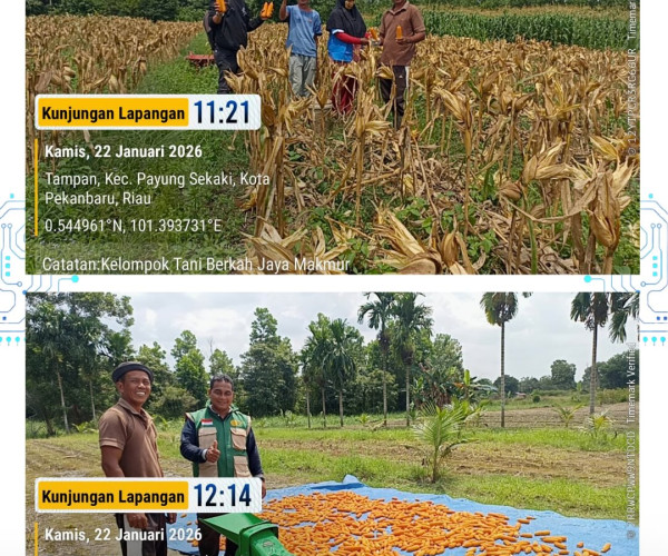 Kunjungan Lapangan ke Kelompok Tani Berkah Jaya Makmur