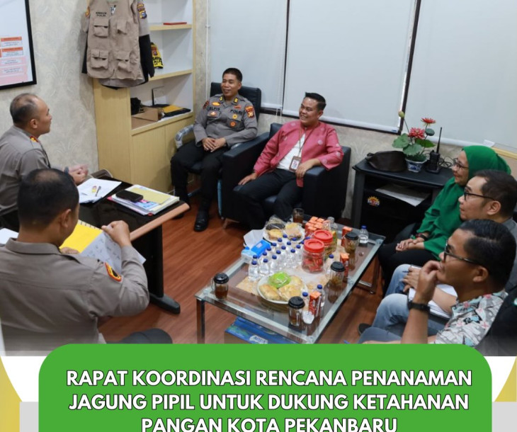 Sinergi Tanam Jagung untuk Ketahanan Pangan Pekanbaru