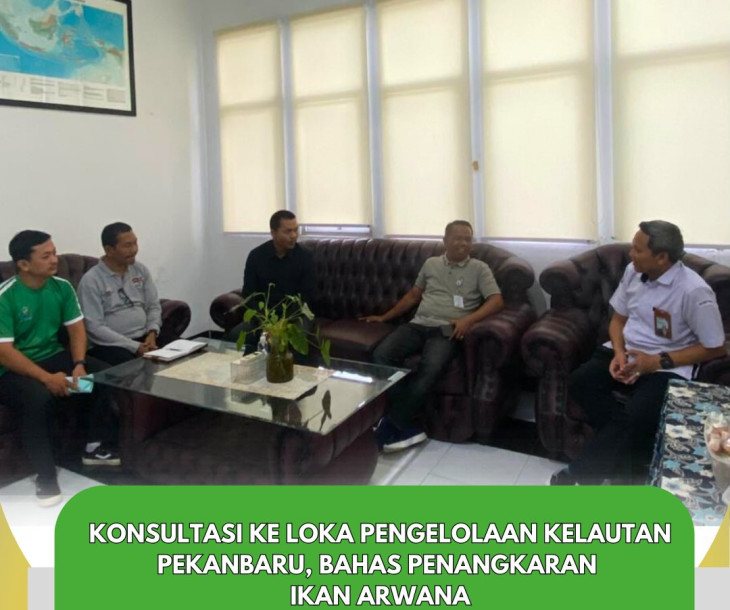 Konsultasi Penangkaran Ikan Arwana