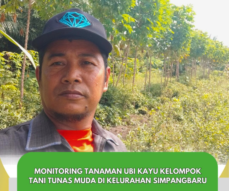 Monitoring Tanaman Ubi Kayu Kelompok Tani Tunas Muda