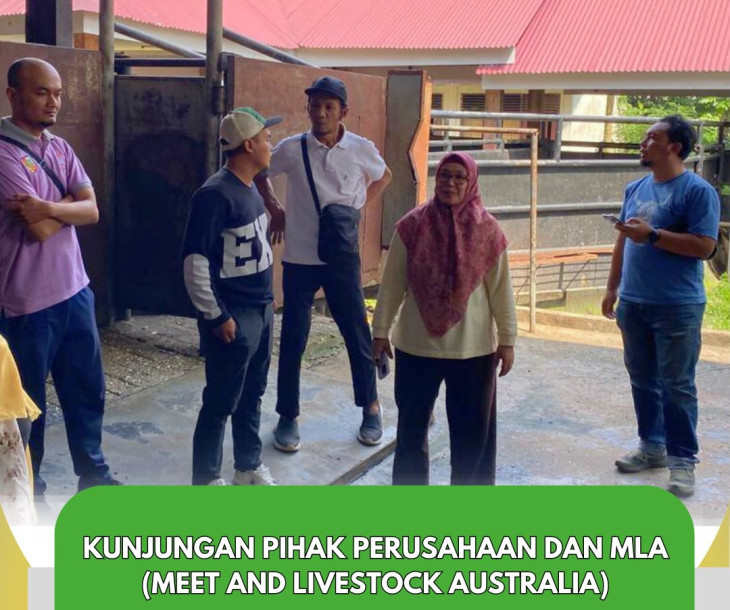 Kunjungan Kerja MLA (Meet and Livestock Australia) ke RPH Kota Pekanbaru