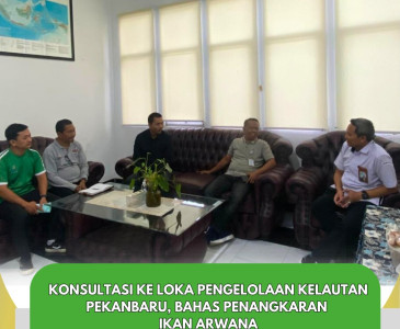 Sinergi Tanam Jagung untuk Ketahanan Pangan Pekanbaru