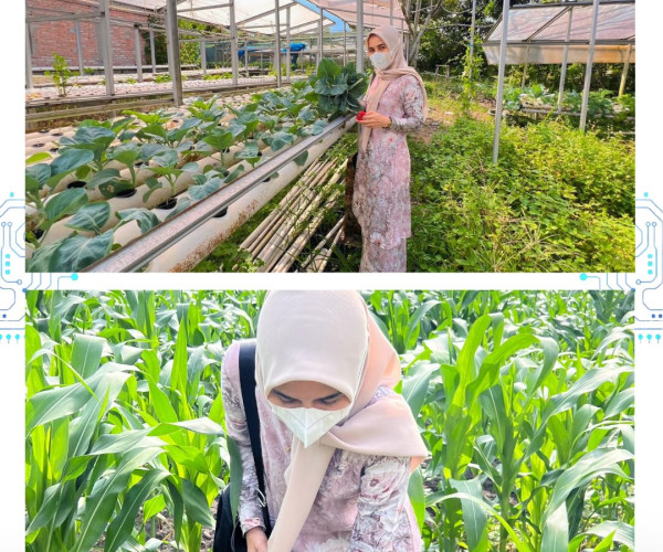 Anjangsana Kelompok Tani DK Green Farm