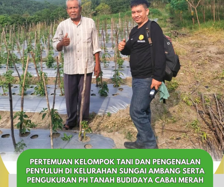 Pertemuan Kelompok Tani & Pengukuran pH Tanah Budidaya Cabai Merah