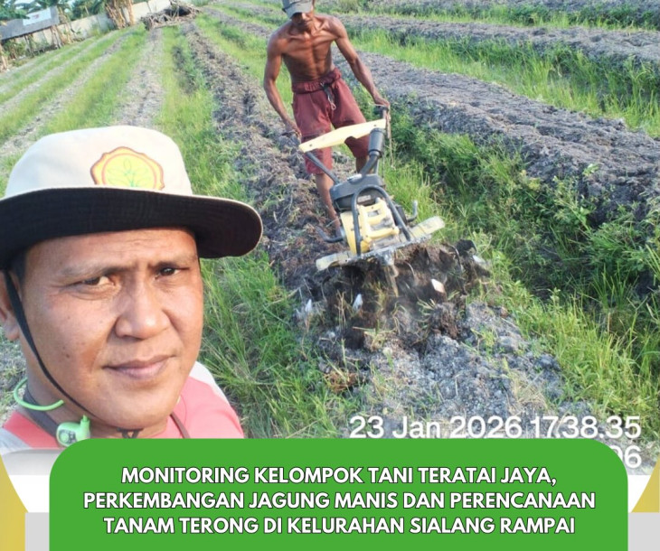 Monitoring Kelompok Tani Teratai Jaya