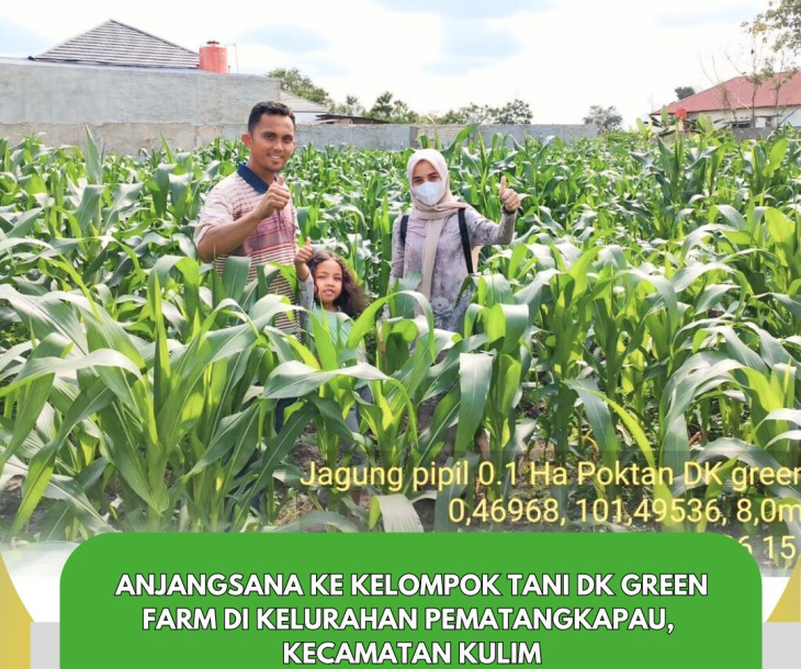 Anjangsana Kelompok Tani DK Green Farm