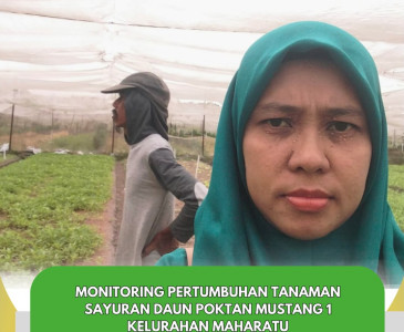 Monitoring Bantuan AMAN BERTANI Komoditas sayuran hortikultura