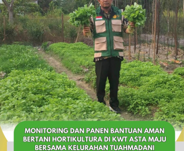 Monitoring Lahan dan Tanaman Sayuran Daun Poktan Mustang 1