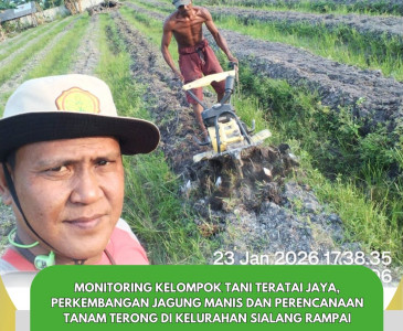 Pertemuan Kelompok Tani & Pengukuran pH Tanah Budidaya Cabai Merah