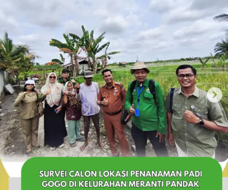 Survei Calon Lokasi Penanaman Padi Gogo di Kelurahan Meranti Pandak