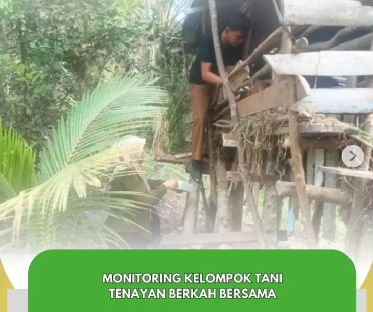 Kunjungan Ke Kelompok Tani Tenayan Berkah Bersama