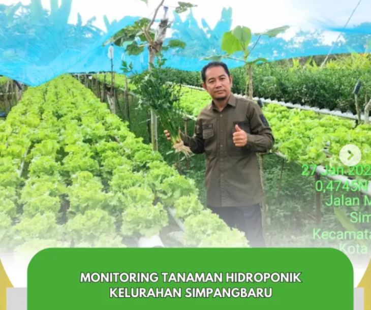 Monitoring Tanaman Hidroponik Mandiri