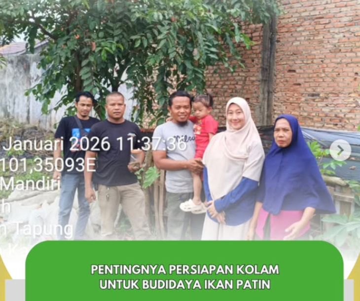 Pentingnya Persiapan Kolam untuk Budidaya Ikan Patin