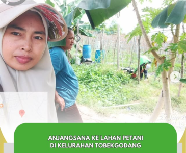 Pentingnya Persiapan Kolam untuk Budidaya Ikan Patin