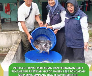 Penyuluh Dinas Pertanian dan Perikanan Kota Pekanbaru Perkuat Kolaborasi Lintas Sektor dalam Musrenbang Pebatuan