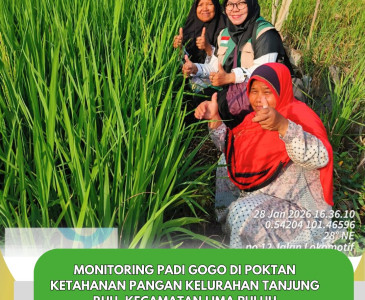 Penyuluh Dinas Pertanian dan Perikanan Kota Pekanbaru Pastikan Harga Panen Lele Pokdakan Sirip Mina Simpang Tiga Tetap Kompetitif