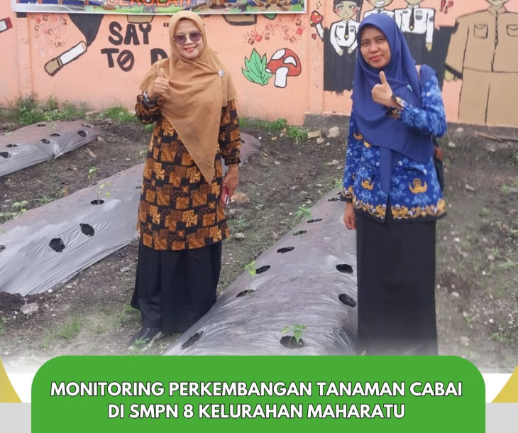 Monitoring Tanaman Cabai di SMPN 8 Kelurahan Maharatu