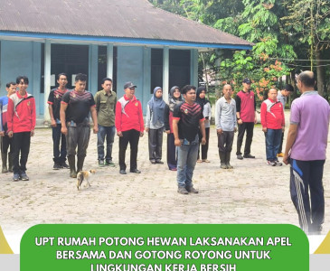 Monitoring Tanaman Cabai di SMPN 8 Kelurahan Maharatu