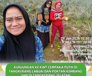 Kawal Usulan Warga di Musrenbang Mentangor!